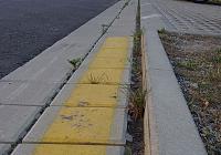 Gelbe Bodenmarkierung – Halten und Parken verboten!