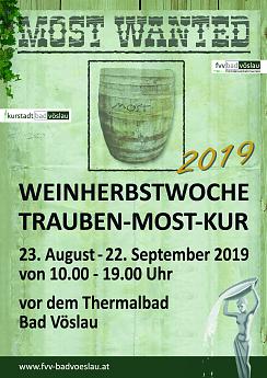 Bild Weinherbstwoche & Trauben-Most-Kur 2019