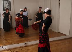 Bild Flamenco-Tanzkurs in Bad Vöslau