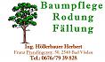 Logo Baumpflege-Rodung-Fällung